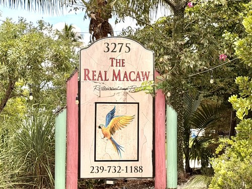 The Real Macaw sign, 3275 Bayshore Dr